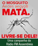 O mosquito Aedes aegypti mata – Livre-se dele!