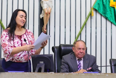 Abertura dos trabalhos da sessão plenária desta quarta-feira