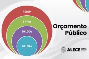 Orçamento público: como é elaborado e qual a importância para o planejamento