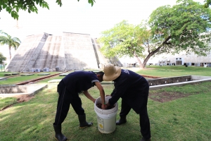 Borra de café produzida na Casa para adubar os jardins