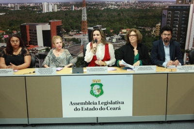 Audiencia Pública sobre violencia contra a mulher