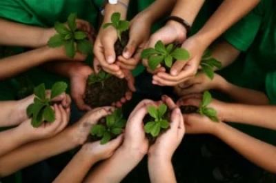 Lei contempla novas diretrizes na Política Estadual de Educação Ambiental