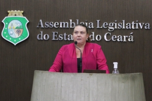 Deputada Fernanda Pessoa