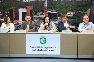 Audiência pública na Comissão de Meio Ambiente e Desenvolvimento do Semiárido 