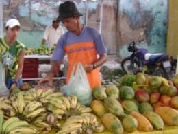 Benefício atende 71,5 mil agricultores no CE 