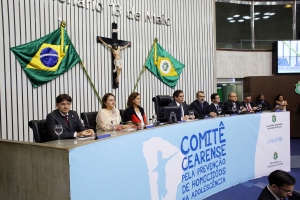 Instalação do Comitê