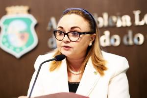 Deputada Eliane Novais (PSB)