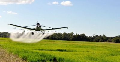 Proibição de pulverização aérea de agrotóxicos já está em vigor no CE