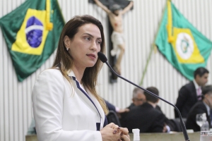 Dep. Erika Amorim ( PSD )