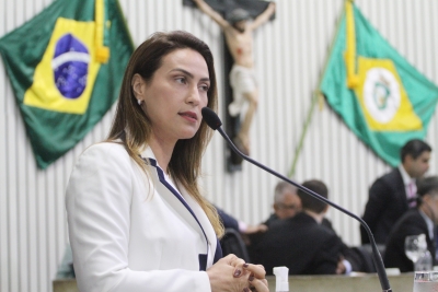 Dep. Erika Amorim ( PSD )