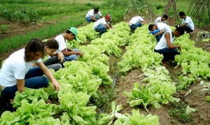 Plano Estadual de Juventude garante direitos do jovem no campo