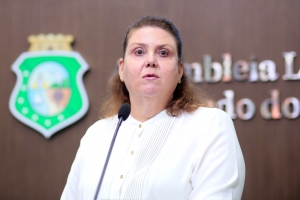 Deputada Fernanda Pessoa