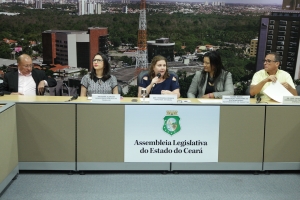 Fernanda Pessoa defende criação de Frente Parlamentar do Protagonismo Juvenil