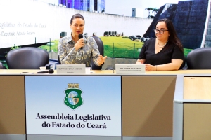 Reunião da Comissão de Infância e Adolescência