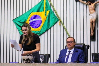 Votação durante sessão plenária