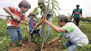 O Sítio Córrego, no Mondubim, recebeu 200 plantas nativas na manhã de ontem