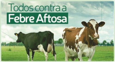 Comissão de Agropecuária debate campanha de vacinação contra febre aftosa