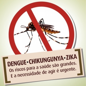 Combate Contra o Mosquito Aedes Aegypti