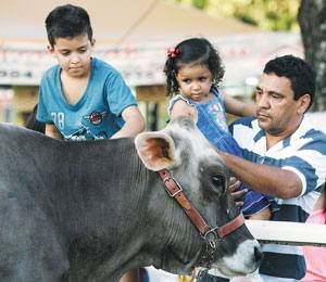   Com várias atrações, como parque de diversão e fazendinha, a Expoece é aberta das 8 às 22h, até o próximo domingo, e o ingresso custa R$ 3