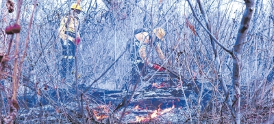 Companhia de Bombeiros da AL alerta para risco de incêndios no interior do CE