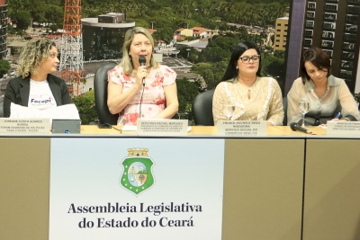 Comissão de Direitos Humanos debate benefícios dos vínculos intergeracionais