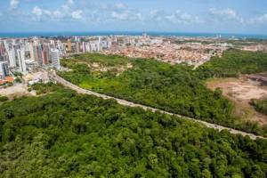 A expectativa é de que a regulamentação do Parque do Cocó saia até o fim deste ano, quando encerra o mandato de Cid Gomes