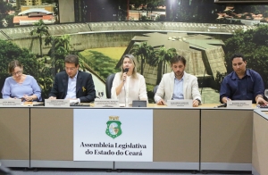 Violência é discutida em audiência pública na Assembleia