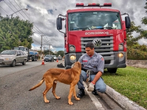 FM Assembleia apresenta novo episódio da série &quot;Meu Bombeiro, Meu Herói&quot;