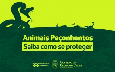 Bombeiros da AL orientam como prevenir acidentes com animais peçonhentos