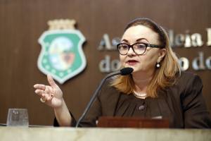 Deputada Eliane Novais (PSB)