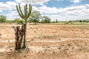 AL promove segunda edição do prêmio Protetor da Caatinga