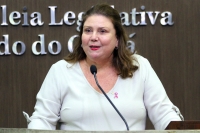 Deputada Fernanda Pessoa