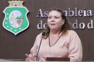 Dep. Fernanda Pessoa ( PSDB )