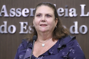  Dep. Fernanda Pessoa ( PSDB )