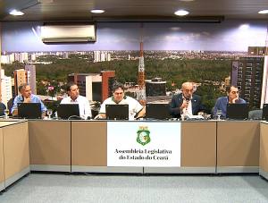 Reunião conjunta das comissões