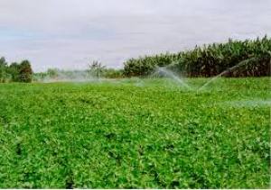 Conselho de Altos Estudos discute implantação do Plano Estadual de Irrigação nesta quarta