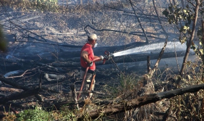 Parlamentares alertam para preservação do Cocó e cobram apuração do incêndio